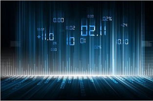 数字经济 中国经济发展的新引擎，欣霖科技引领行业数字转型